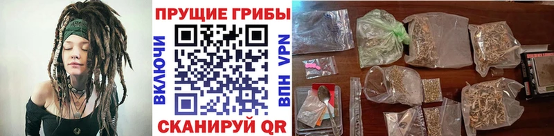 Галлюциногенные грибы Psilocybine cubensis  закладка  Крымск 