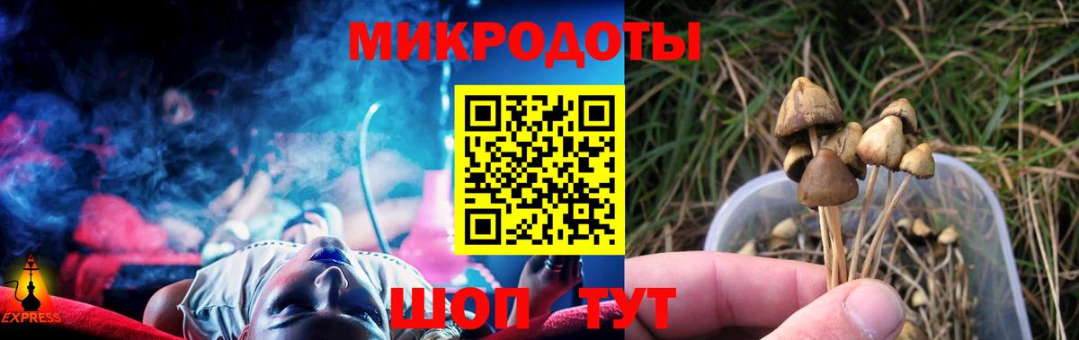 Псилоцибиновые грибы MAGIC MUSHROOMS  Вход с VPN  Крымск 